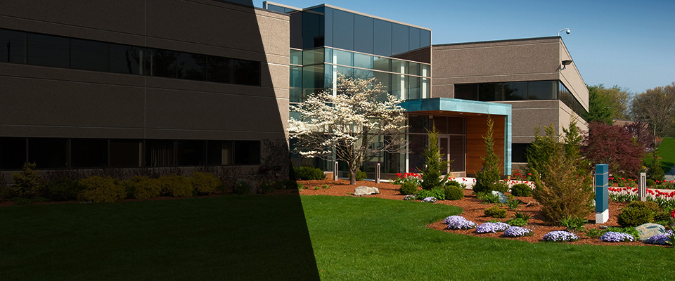 Lonsdale Landscapers