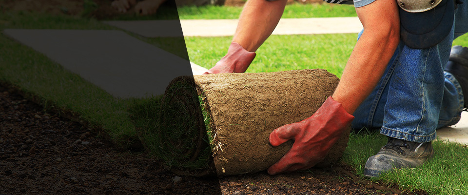 Lonsdale Landscapers
